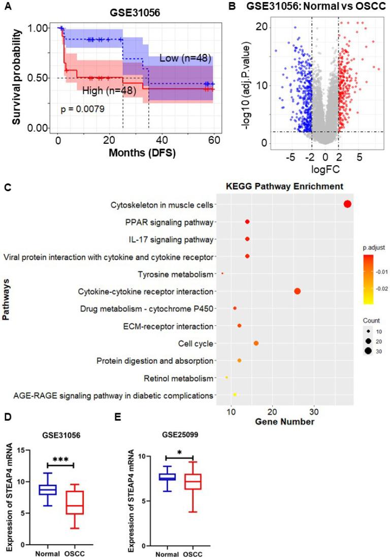 https://cdn.ncbi.nlm.nih.gov/pmc/blobs/dfa1/11632996/6bacbbd5e017/jcav15p6754g003.jpg