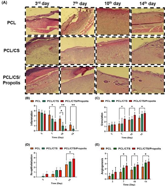 https://cdn.ncbi.nlm.nih.gov/pmc/blobs/dfa3/10460768/3510864854a0/bi-13-275-g008.jpg