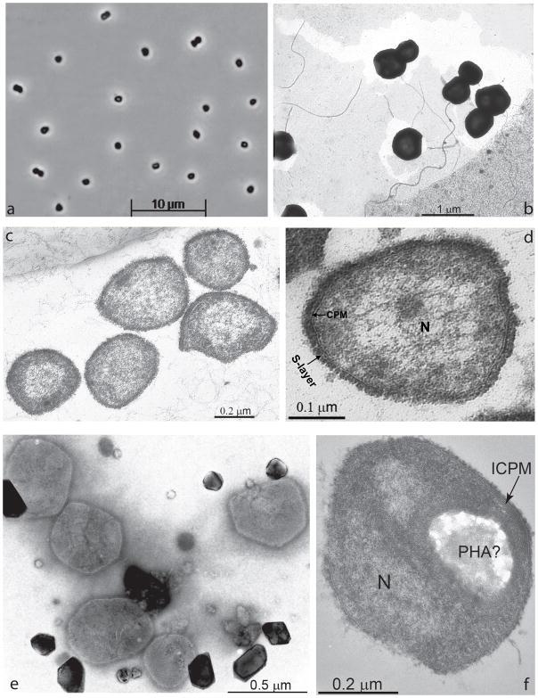 https://cdn.ncbi.nlm.nih.gov/pmc/blobs/dfa5/5494993/5f187cc2dc2a/nihms869520f1.jpg