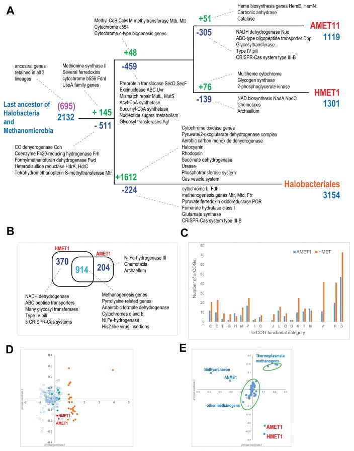 https://cdn.ncbi.nlm.nih.gov/pmc/blobs/dfa5/5494993/8f4f3a459266/nihms869520f5.jpg