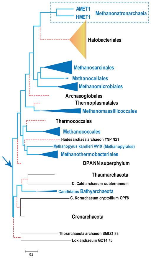 https://cdn.ncbi.nlm.nih.gov/pmc/blobs/dfa5/5494993/e27897fc6409/nihms869520f4.jpg