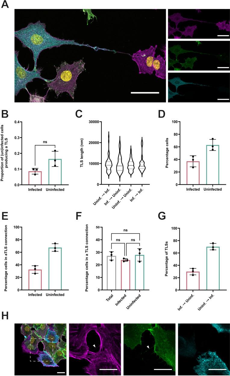 https://cdn.ncbi.nlm.nih.gov/pmc/blobs/dfa6/12169559/567967639a09/ppat.1013191.g002.jpg