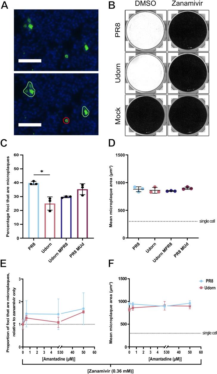 https://cdn.ncbi.nlm.nih.gov/pmc/blobs/dfa6/12169559/ab46574f33b6/ppat.1013191.g005.jpg
