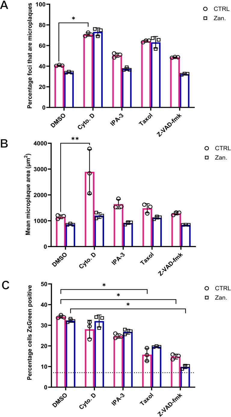 https://cdn.ncbi.nlm.nih.gov/pmc/blobs/dfa6/12169559/b7b1c27c474a/ppat.1013191.g008.jpg