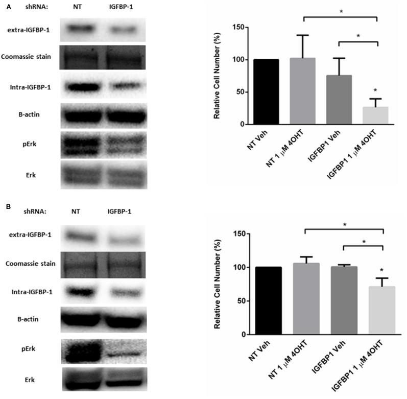 https://cdn.ncbi.nlm.nih.gov/pmc/blobs/dfa8/7218143/852f68d9bf57/fendo-11-00233-g0006.jpg