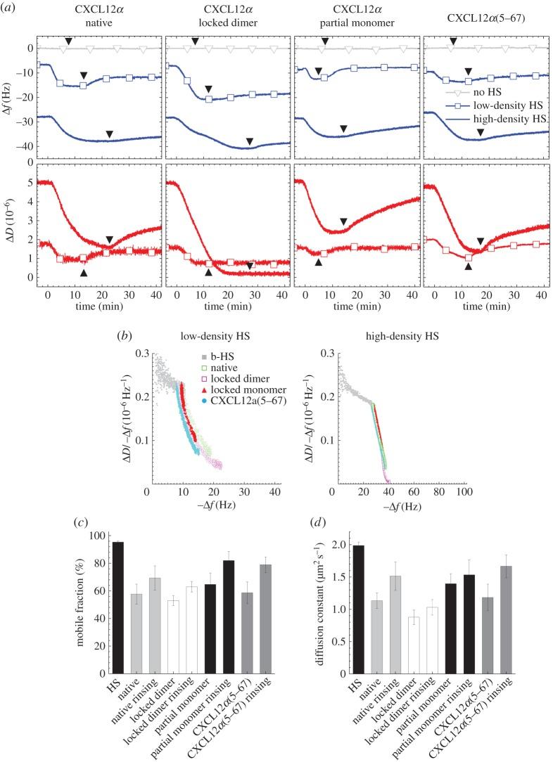 https://cdn.ncbi.nlm.nih.gov/pmc/blobs/dfaa/4554917/6819cacfe43b/rsob-5-150046-g4.jpg