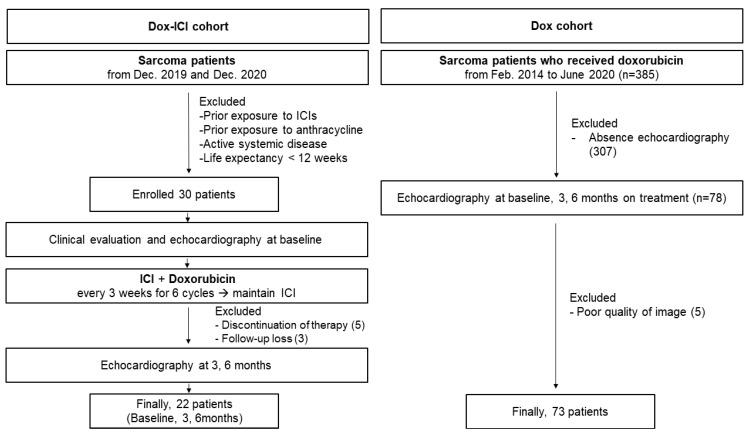 https://cdn.ncbi.nlm.nih.gov/pmc/blobs/dfab/9100163/32f65e0ee05e/cancers-14-02320-g001.jpg