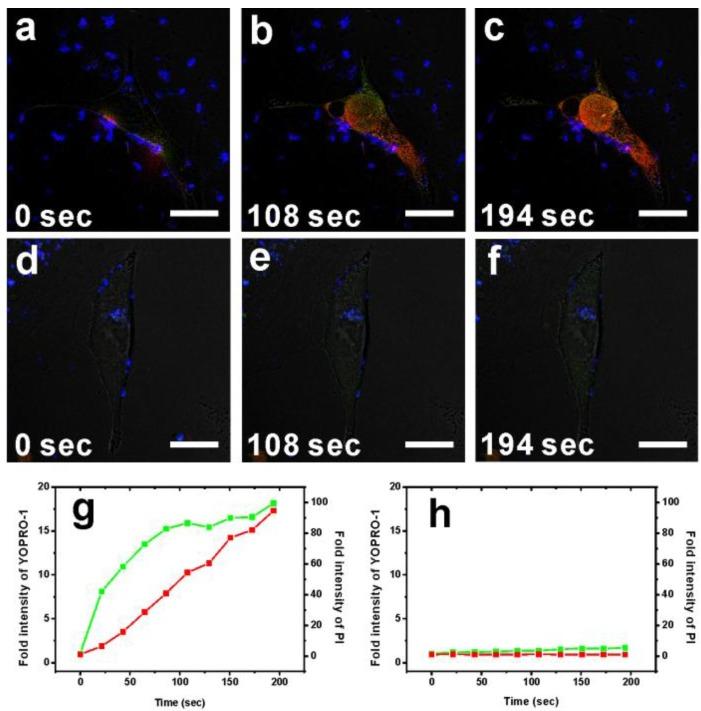 https://cdn.ncbi.nlm.nih.gov/pmc/blobs/dfac/4063978/dd7baab2fde6/thnov04p0798g005.jpg