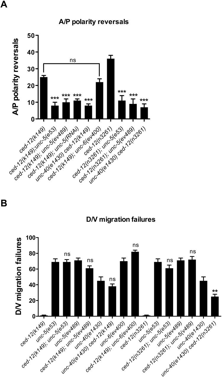https://cdn.ncbi.nlm.nih.gov/pmc/blobs/dfae/4546399/feb705d434fe/pgen.1005446.g004.jpg