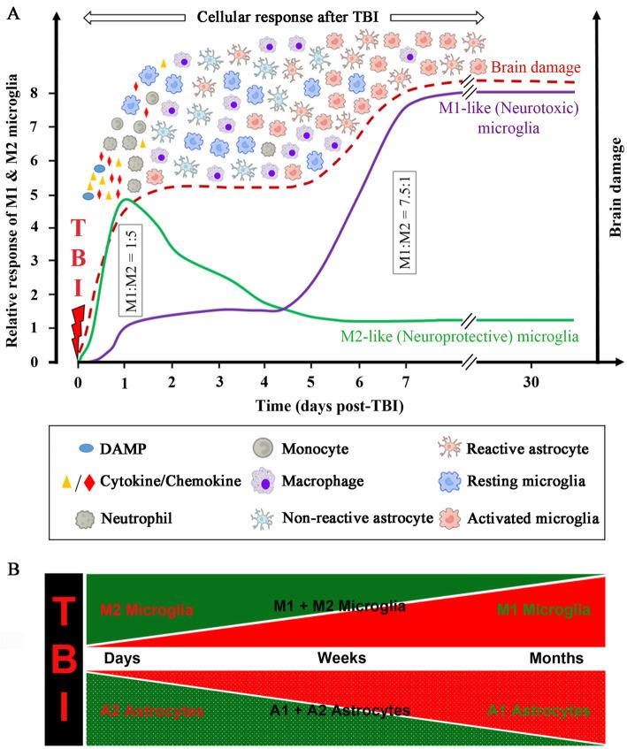 https://cdn.ncbi.nlm.nih.gov/pmc/blobs/dfae/7640704/65674030bf9f/12974_2020_2005_Fig3_HTML.jpg