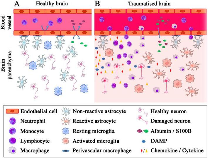 https://cdn.ncbi.nlm.nih.gov/pmc/blobs/dfae/7640704/987d7f446e8c/12974_2020_2005_Fig2_HTML.jpg