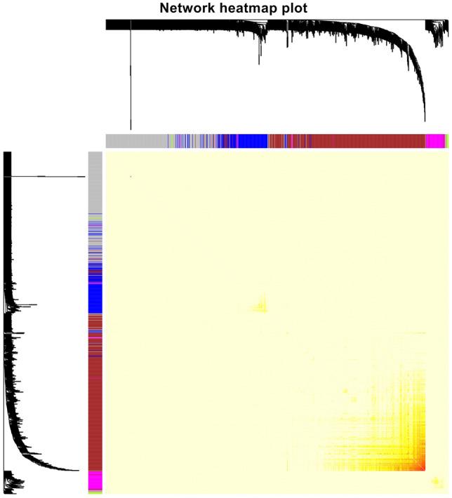 https://cdn.ncbi.nlm.nih.gov/pmc/blobs/dfae/7988178/66934bce8552/41598_2021_86207_Fig2_HTML.jpg