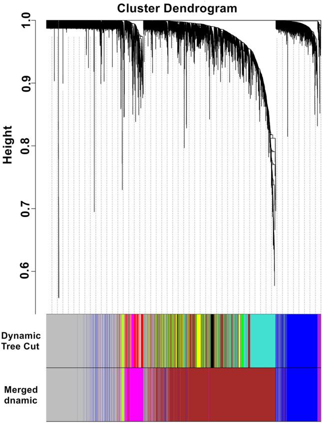 https://cdn.ncbi.nlm.nih.gov/pmc/blobs/dfae/7988178/e04bffe7cd54/41598_2021_86207_Fig3_HTML.jpg