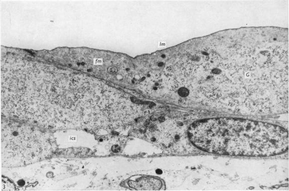 https://cdn.ncbi.nlm.nih.gov/pmc/blobs/dfaf/1271131/18500b314ac1/janat00325-0067-a.jpg
