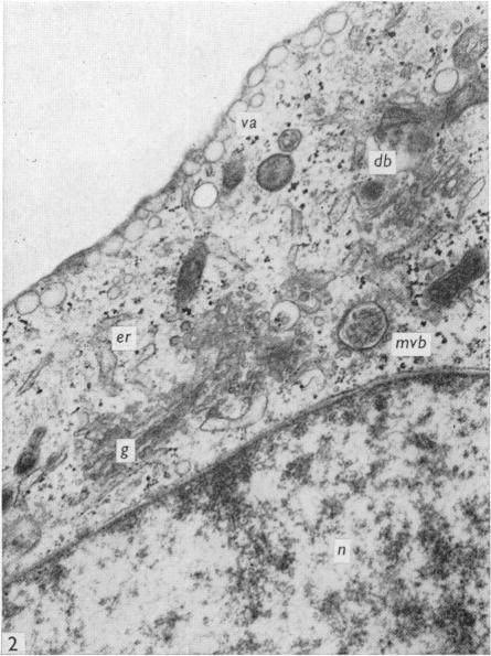 https://cdn.ncbi.nlm.nih.gov/pmc/blobs/dfaf/1271131/3614fd964724/janat00325-0066-b.jpg