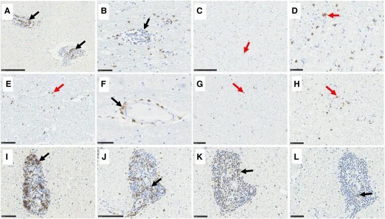 https://cdn.ncbi.nlm.nih.gov/pmc/blobs/dfb3/10953628/0765cbdf0305/fcae078f3.jpg
