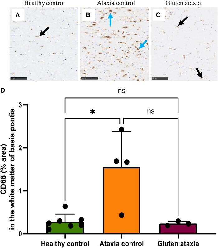 https://cdn.ncbi.nlm.nih.gov/pmc/blobs/dfb3/10953628/4bf6e4150c6b/fcae078f8.jpg