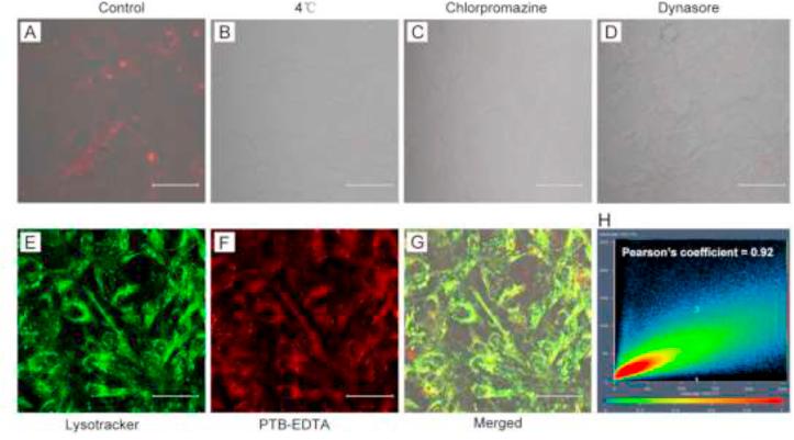 https://cdn.ncbi.nlm.nih.gov/pmc/blobs/dfb4/7355993/a2d5a2433b80/gr5.jpg