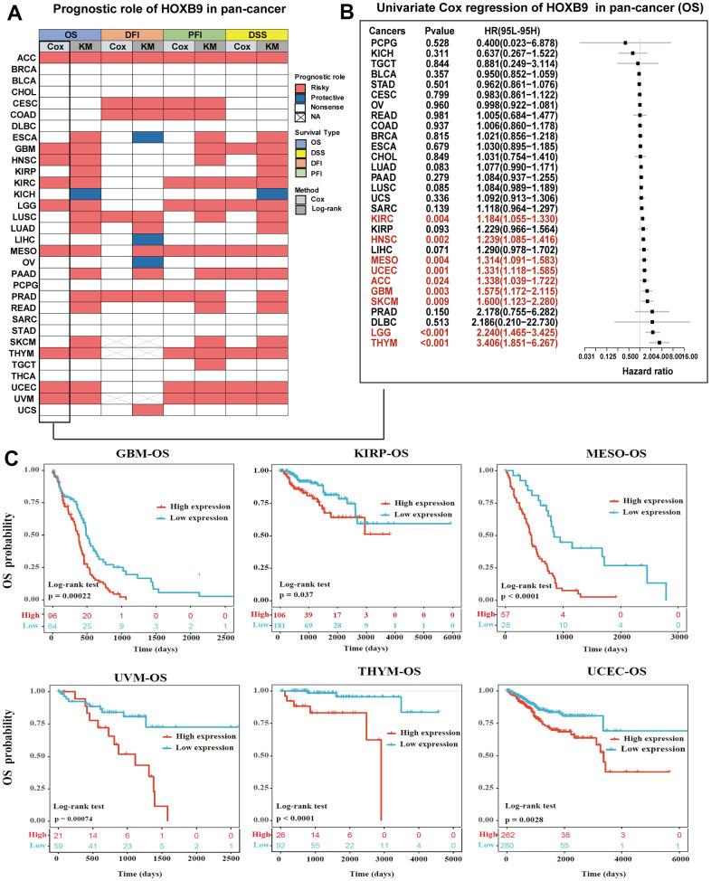 https://cdn.ncbi.nlm.nih.gov/pmc/blobs/dfb5/10292867/497f97a0ac65/aging-15-204785-g004.jpg
