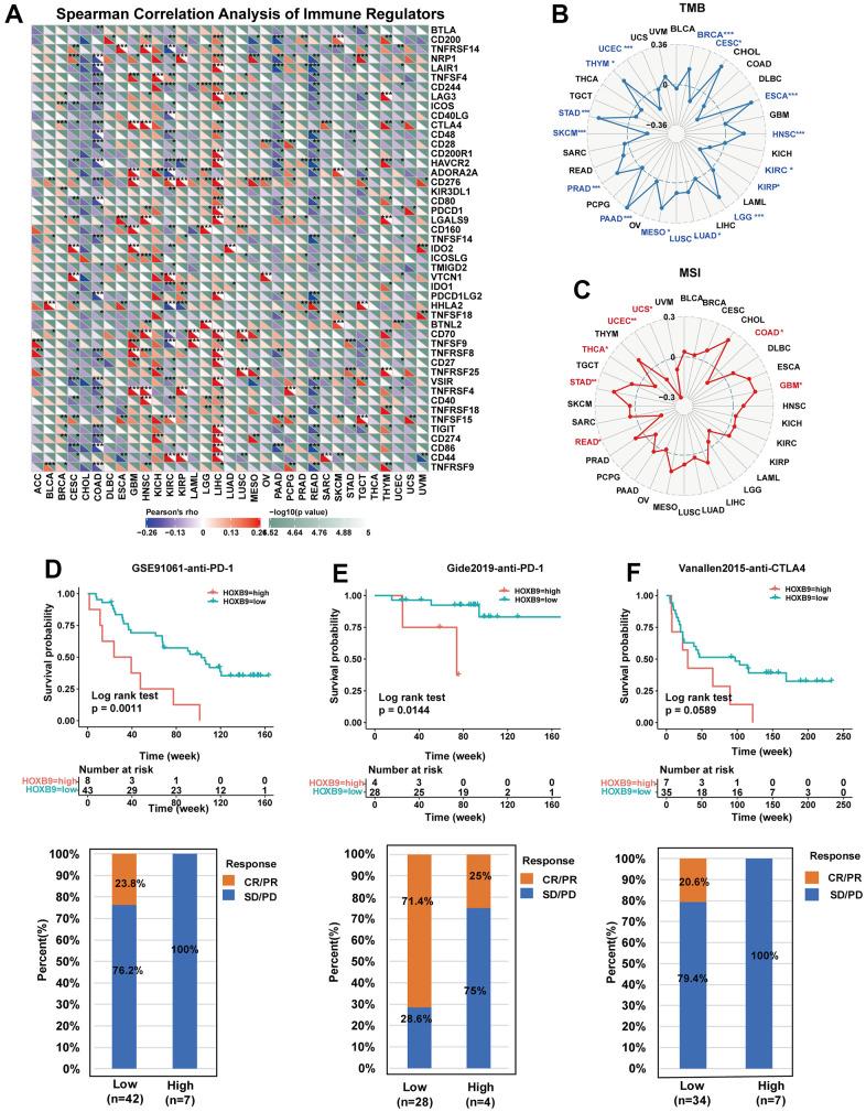 https://cdn.ncbi.nlm.nih.gov/pmc/blobs/dfb5/10292867/577260df2b22/aging-15-204785-g008.jpg