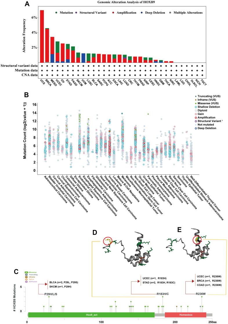 https://cdn.ncbi.nlm.nih.gov/pmc/blobs/dfb5/10292867/83971e60bf14/aging-15-204785-g003.jpg