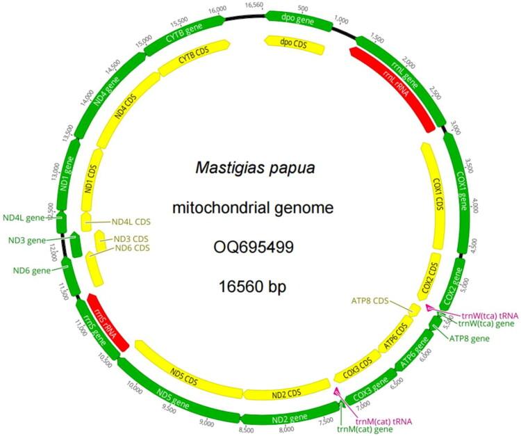 https://cdn.ncbi.nlm.nih.gov/pmc/blobs/dfb5/10769521/82f8755809e2/TMDN_A_2281033_F0002_C.jpg
