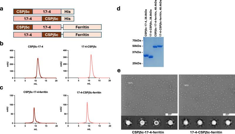 https://cdn.ncbi.nlm.nih.gov/pmc/blobs/dfb5/12405497/d3665a2748be/41541_2025_1262_Fig1_HTML.jpg