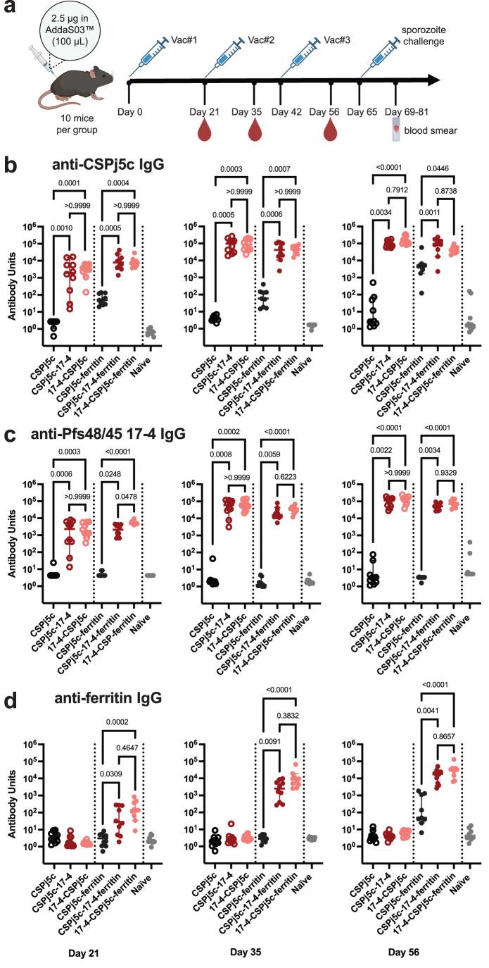 https://cdn.ncbi.nlm.nih.gov/pmc/blobs/dfb5/12405497/dbfbd71e7477/41541_2025_1262_Fig2_HTML.jpg