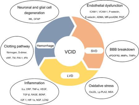 https://cdn.ncbi.nlm.nih.gov/pmc/blobs/dfb6/11168513/fbddf3eda846/NRR-19-2579-g001.jpg