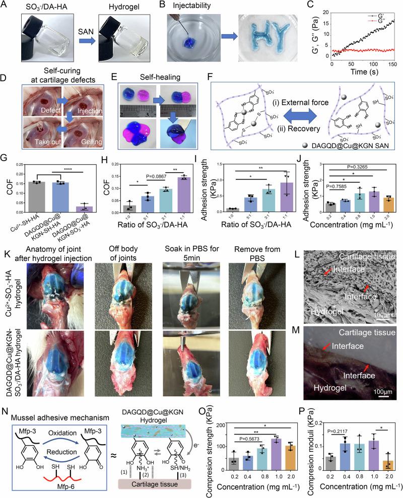 https://cdn.ncbi.nlm.nih.gov/pmc/blobs/dfb8/11926226/1b7688b733ec/41467_2025_58059_Fig3_HTML.jpg