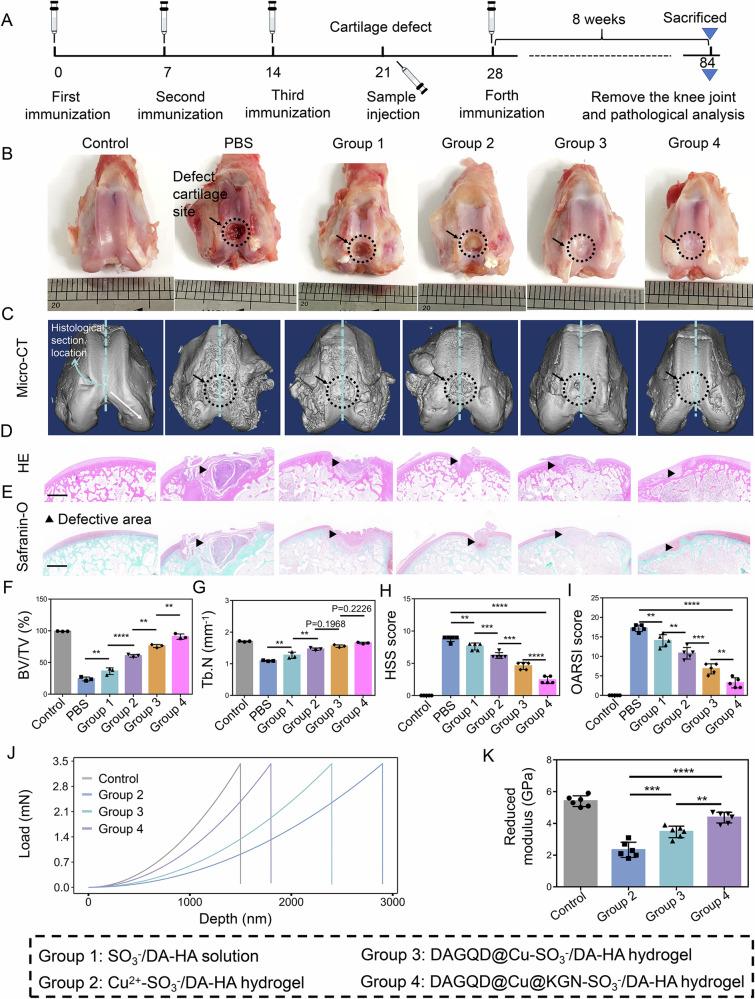 https://cdn.ncbi.nlm.nih.gov/pmc/blobs/dfb8/11926226/6e06fa058326/41467_2025_58059_Fig7_HTML.jpg