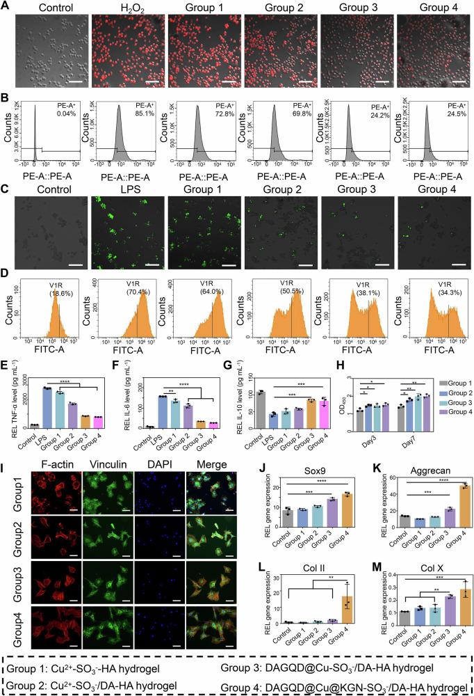 https://cdn.ncbi.nlm.nih.gov/pmc/blobs/dfb8/11926226/880e32c64775/41467_2025_58059_Fig4_HTML.jpg