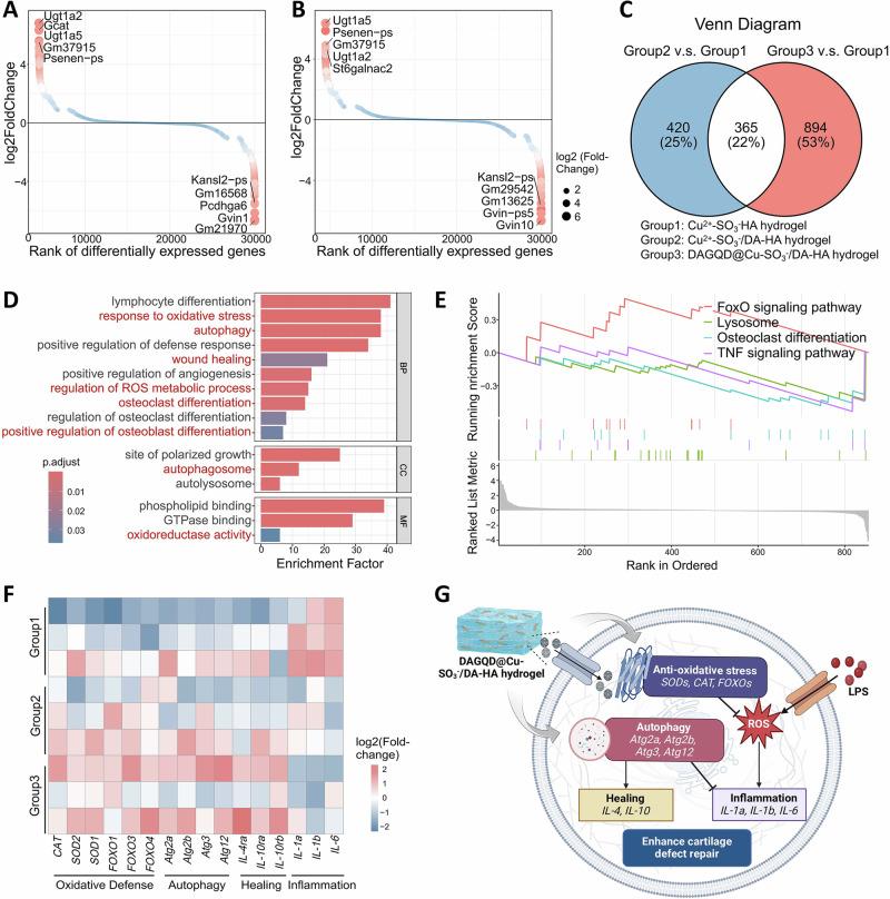 https://cdn.ncbi.nlm.nih.gov/pmc/blobs/dfb8/11926226/9605b01489f5/41467_2025_58059_Fig5_HTML.jpg