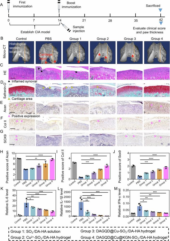https://cdn.ncbi.nlm.nih.gov/pmc/blobs/dfb8/11926226/fad8e8602f0b/41467_2025_58059_Fig6_HTML.jpg