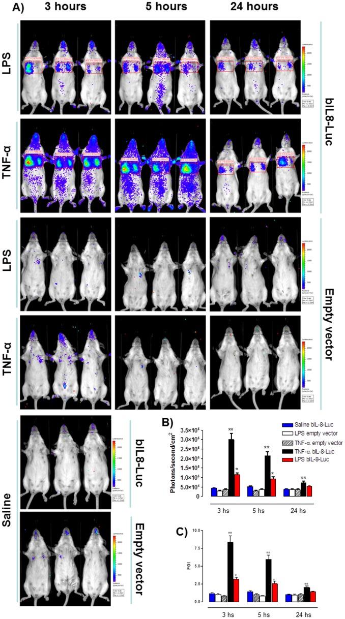 https://cdn.ncbi.nlm.nih.gov/pmc/blobs/dfb8/3386280/f4c52a1940a6/pone.0039716.g002.jpg