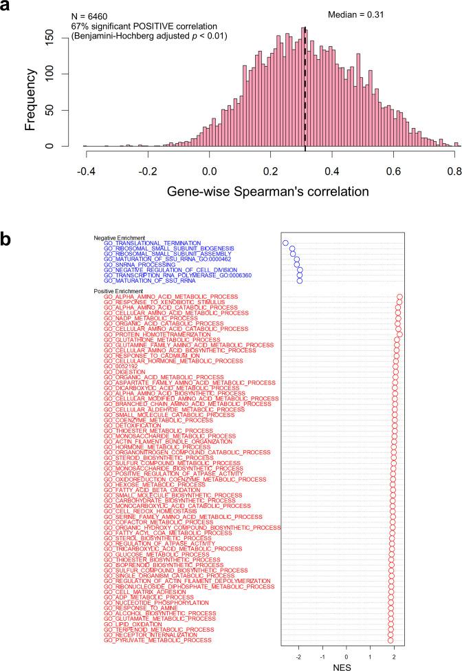 https://cdn.ncbi.nlm.nih.gov/pmc/blobs/dfb9/8065022/1d8ea5181848/41597_2021_890_Fig5_HTML.jpg
