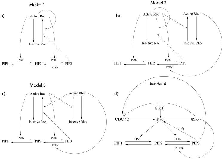 https://cdn.ncbi.nlm.nih.gov/pmc/blobs/dfba/3380869/f10103b324d2/pcbi.1002366.g001.jpg