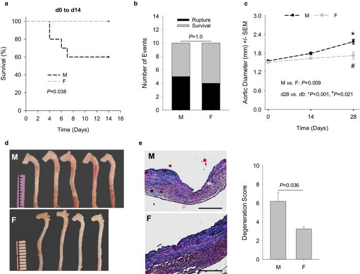 https://cdn.ncbi.nlm.nih.gov/pmc/blobs/dfba/7690909/0594c519d540/PHY2-8-e14631-g006.jpg