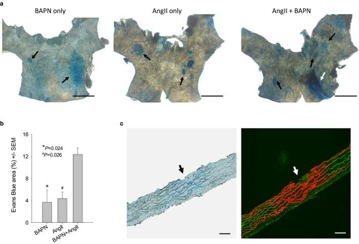 https://cdn.ncbi.nlm.nih.gov/pmc/blobs/dfba/7690909/573d7e635280/PHY2-8-e14631-g002.jpg