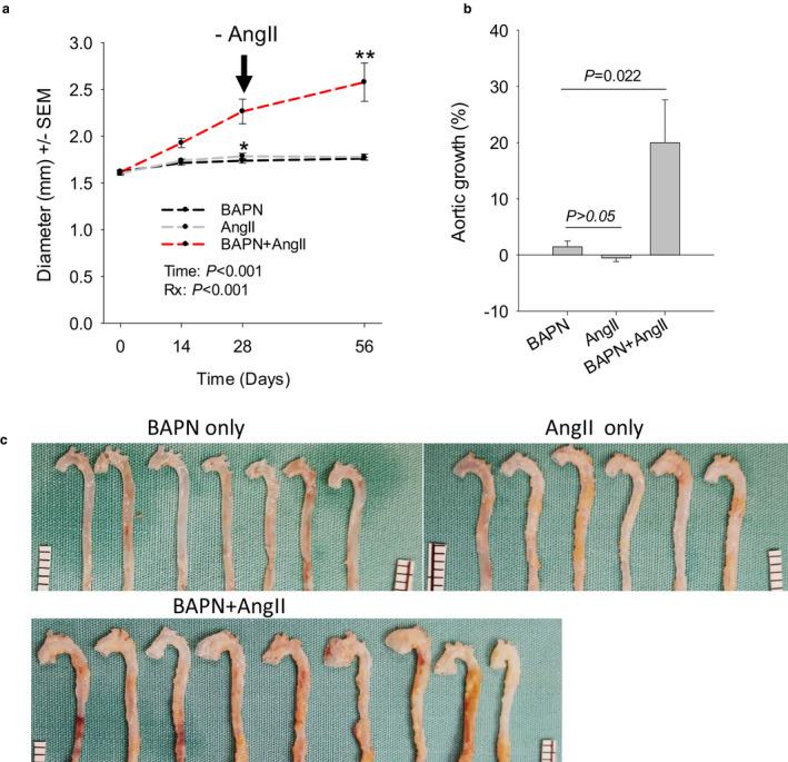 https://cdn.ncbi.nlm.nih.gov/pmc/blobs/dfba/7690909/ac3695540fb0/PHY2-8-e14631-g003.jpg