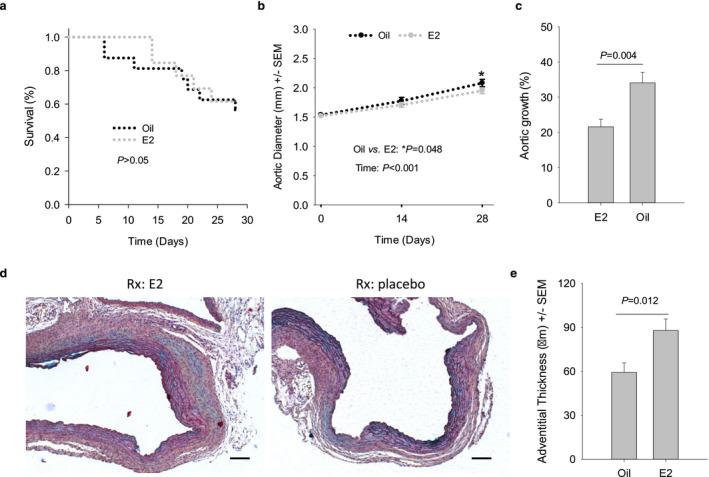https://cdn.ncbi.nlm.nih.gov/pmc/blobs/dfba/7690909/b55ea9a74ec9/PHY2-8-e14631-g007.jpg