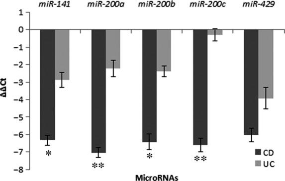 https://cdn.ncbi.nlm.nih.gov/pmc/blobs/dfbb/5020622/6517419bea9a/JCMM-20-1813-g002.jpg