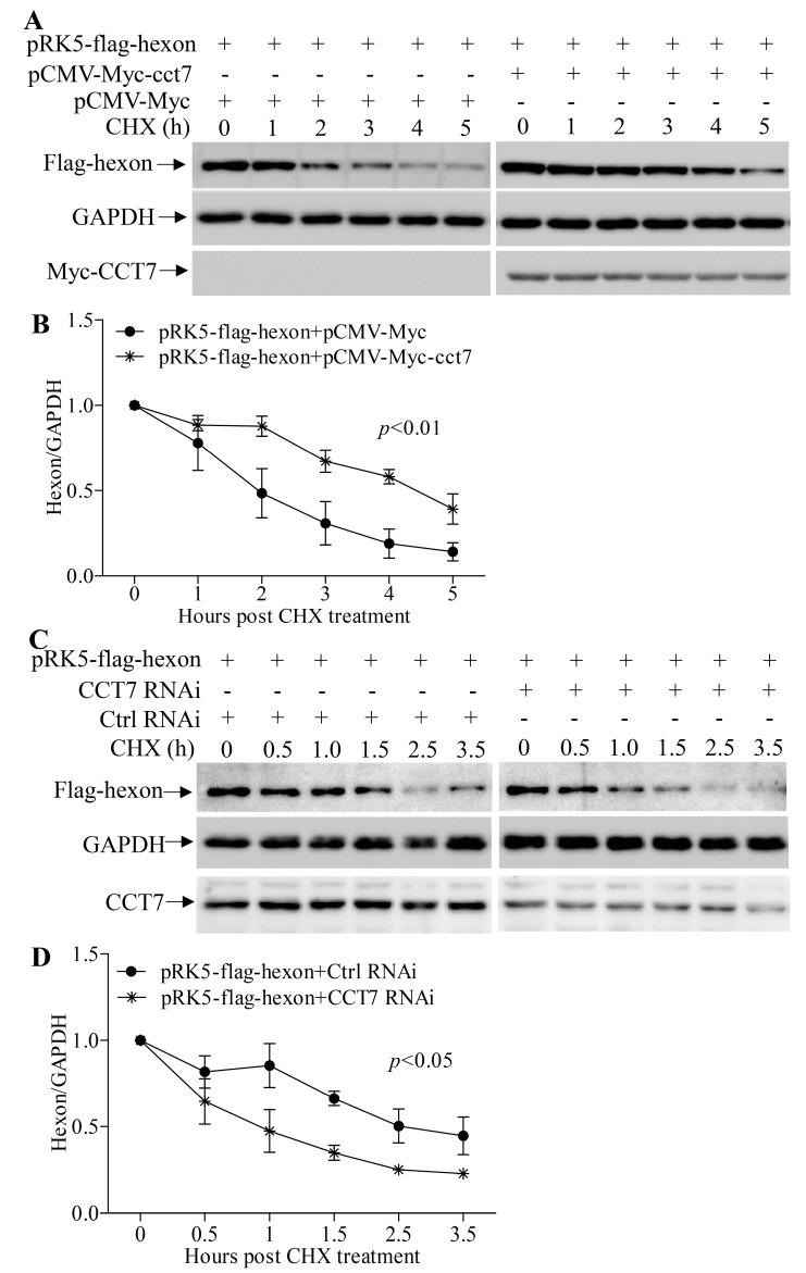 https://cdn.ncbi.nlm.nih.gov/pmc/blobs/dfbb/6410038/50c0eed11280/viruses-11-00107-g007.jpg