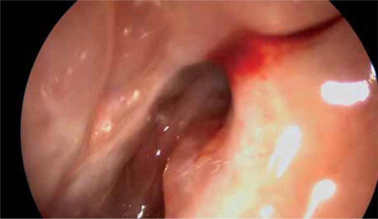https://cdn.ncbi.nlm.nih.gov/pmc/blobs/dfbb/7687672/28cfd1fe819a/WIITM-15-39996-g012.jpg