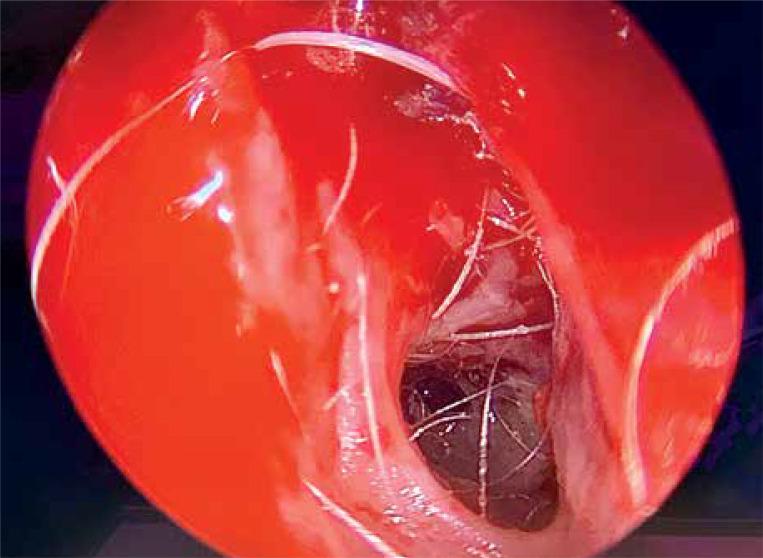 https://cdn.ncbi.nlm.nih.gov/pmc/blobs/dfbb/7687672/869c1541db7c/WIITM-15-39996-g009.jpg