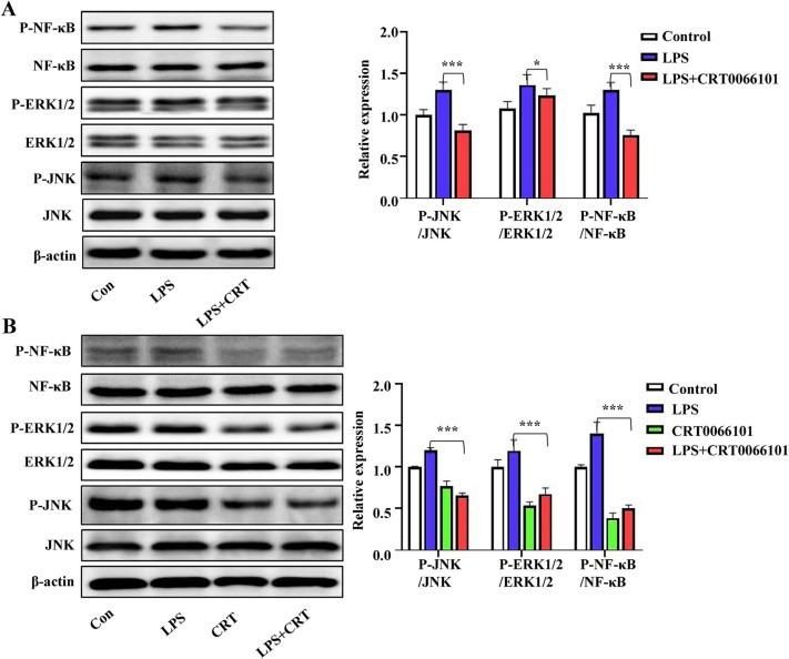 https://cdn.ncbi.nlm.nih.gov/pmc/blobs/dfbc/10181585/d293eaa52ddb/gr6_lrg.jpg