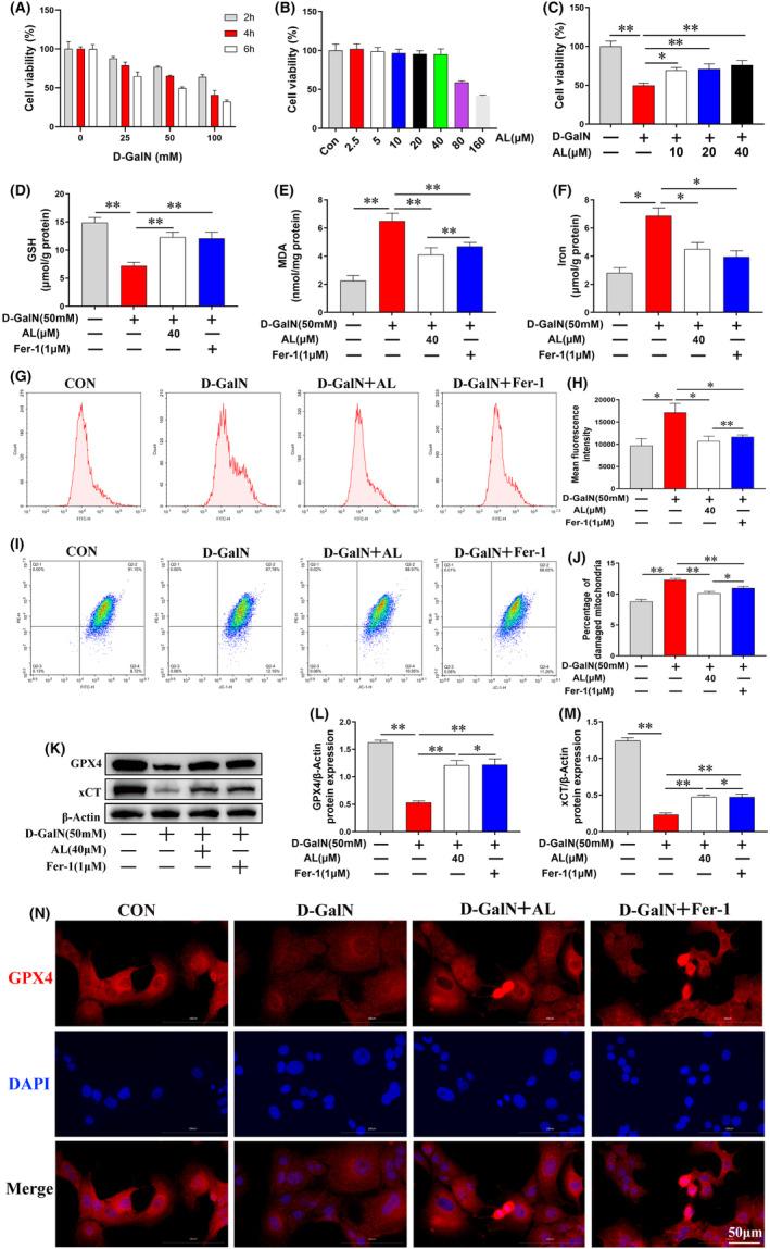 https://cdn.ncbi.nlm.nih.gov/pmc/blobs/dfbc/10623517/d28cf702aa01/JCMM-27-3326-g004.jpg