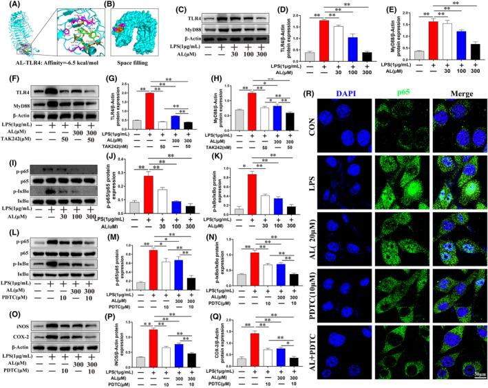 https://cdn.ncbi.nlm.nih.gov/pmc/blobs/dfbc/10623517/d8d45ac4c0b3/JCMM-27-3326-g009.jpg