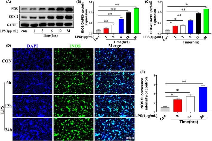 https://cdn.ncbi.nlm.nih.gov/pmc/blobs/dfbc/10623517/f9fbbd162ad7/JCMM-27-3326-g002.jpg