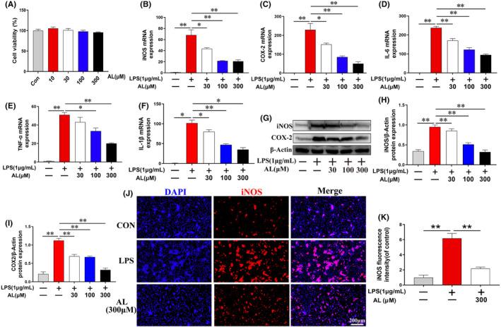 https://cdn.ncbi.nlm.nih.gov/pmc/blobs/dfbc/10623517/feb61cf0231d/JCMM-27-3326-g003.jpg